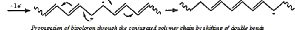 Propagation of bipoloron through conjugated polymer chain