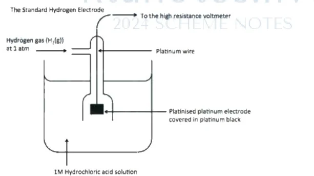 Diagram of The Standard Hydrogen Electrode (SHE)