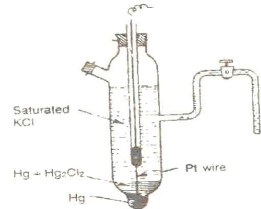 Diagram of a Calomel electrode