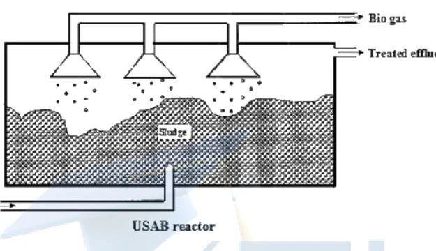 USAB reactor diagram showing wastewater flow, sludge blanket, gas collectors, treated effluent, and biogas collection.