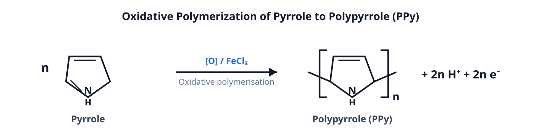 Oxidative polymerization of pyrrole to polypyrrole