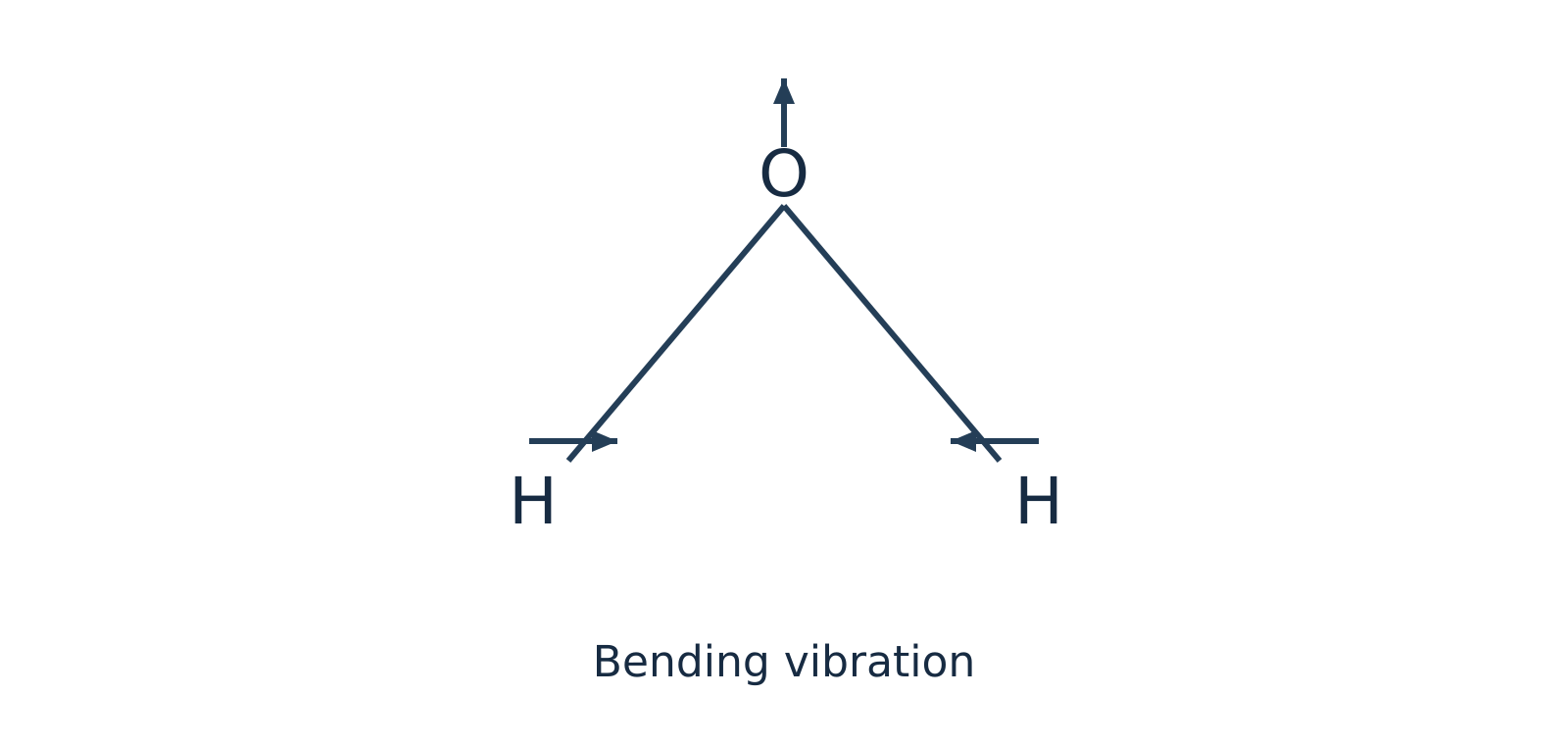 In-plane scissoring bending mode of water molecule showing the H-O-H bond angle changing