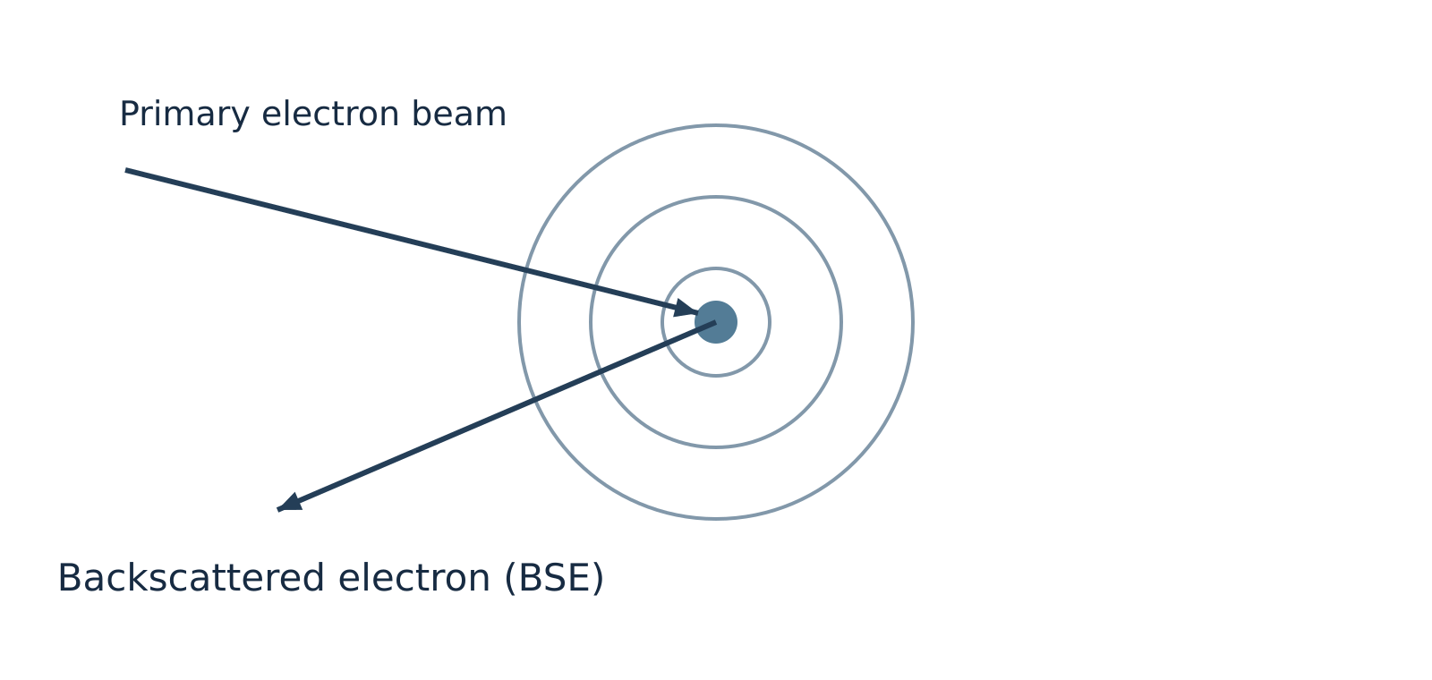 Backscattered electron diagram showing an incident primary electron deflected at a large angle by an atomic nucleus.