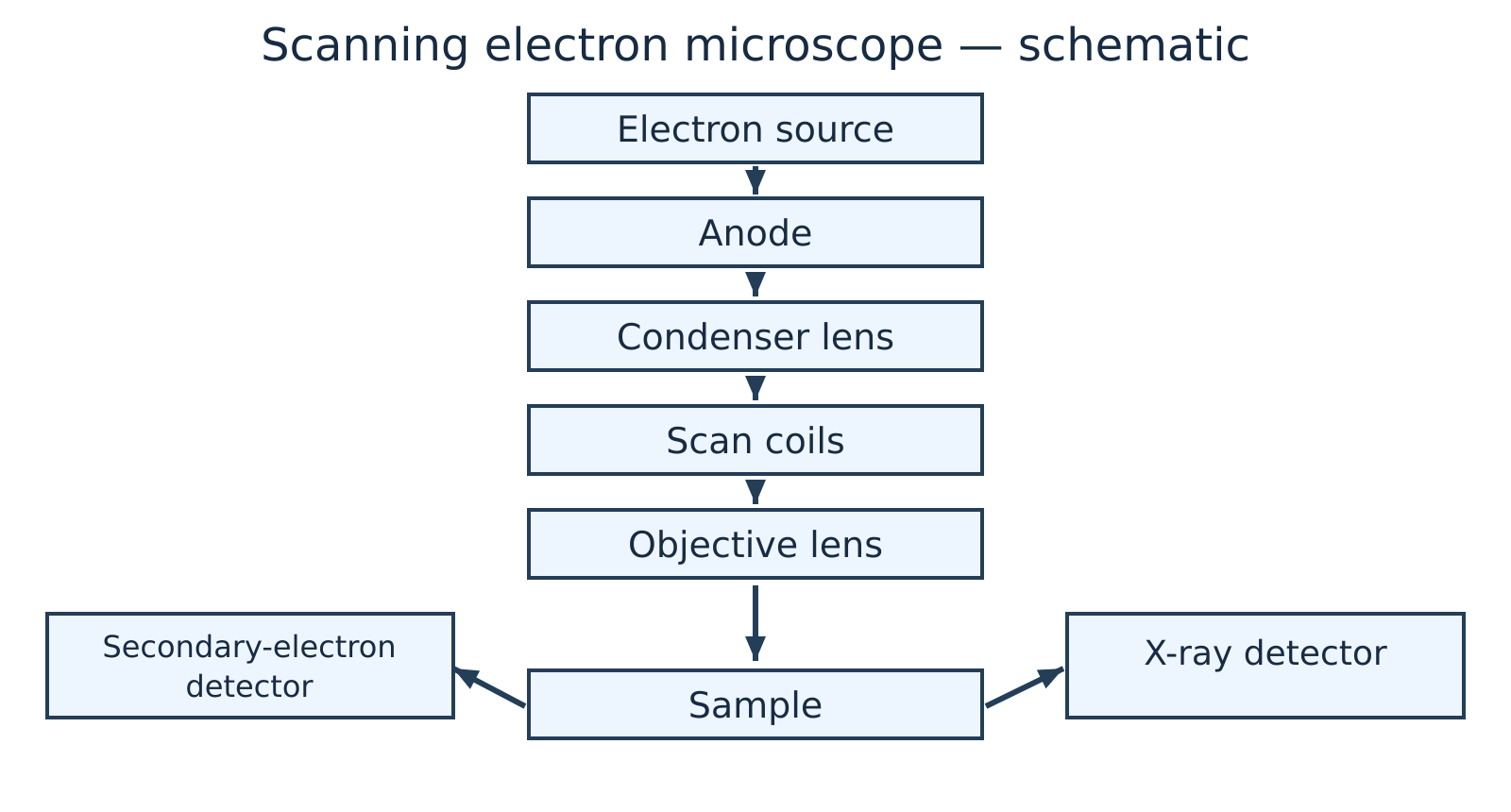 Schematic diagram of a Scanning Electron Microscope column showing the electron source, anode, condenser lens, scan coils, objective lens, sample, and secondary electron detector.