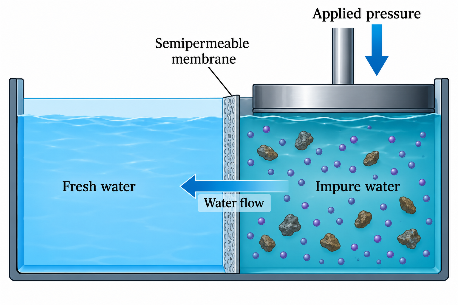 Schematic of reverse osmosis showing external pressure applied via a piston to seawater, forcing water molecules through a semipermeable membrane into the fresh water compartment while rejecting salts.