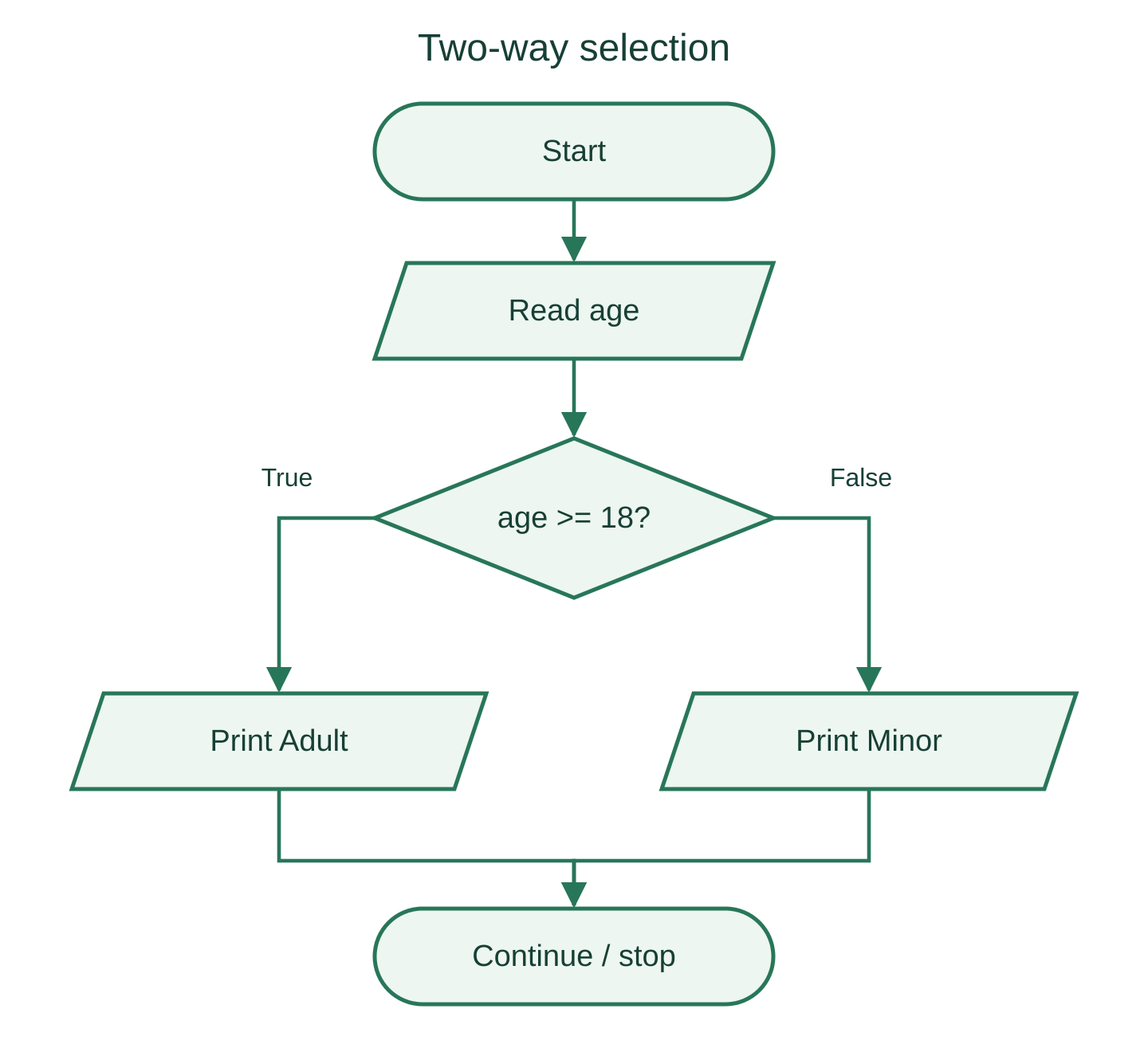 An age decision sends the true branch to Adult and the false branch to Minor.